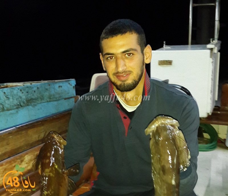 isma3el abo el teef (1).jpg